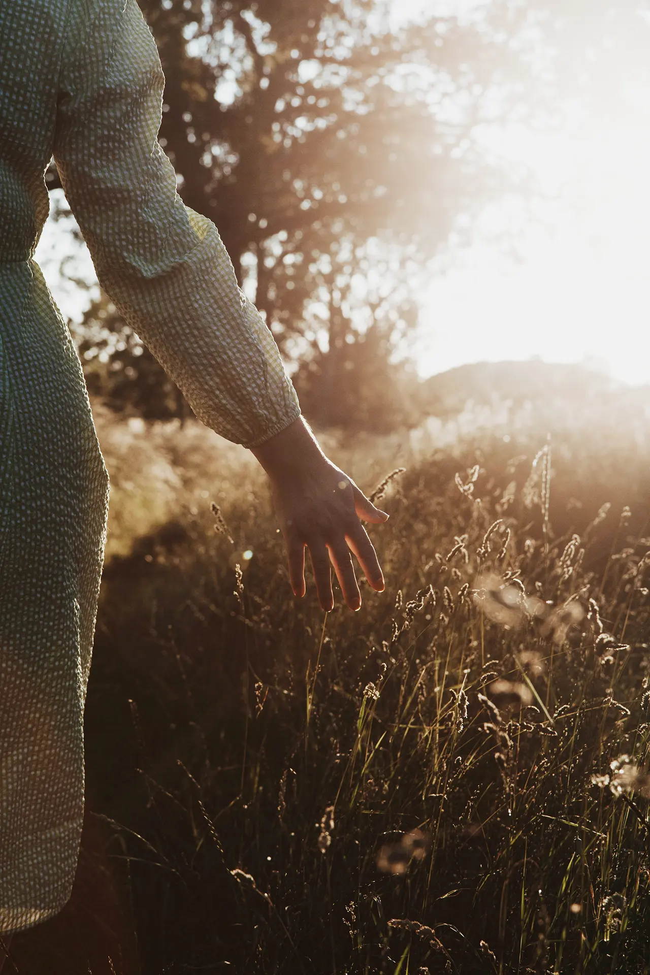 Vista parziale di una persona in abito a maniche lunghe che cammina in un prato di erba alta al tramonto, con la mano che sfiora delicatamente le spighe dorate mentre la luce calda del sole le illumina il profilo.